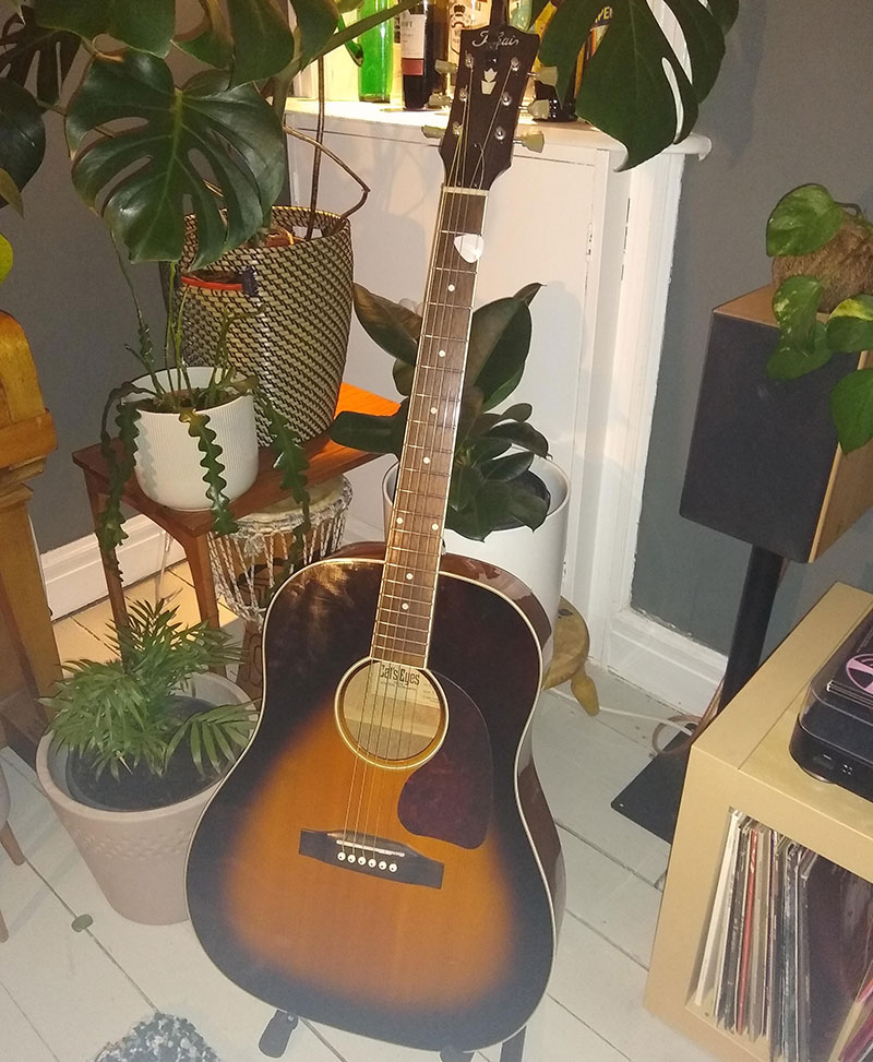 A Tokai acoustic guitar on a wooden floor with plants in the background.